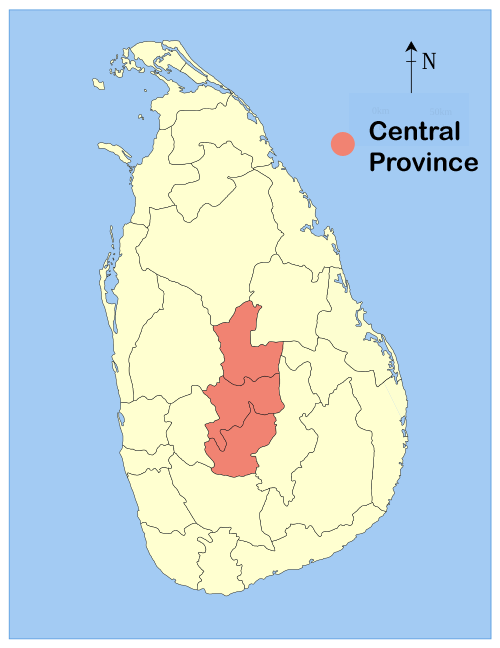 Descriptive alt text